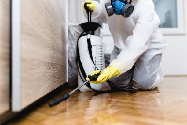 Best Exterminator Services  in Spinnerstown, PA