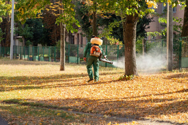 Trusted Spinnerstown, PA Pest Control Experts