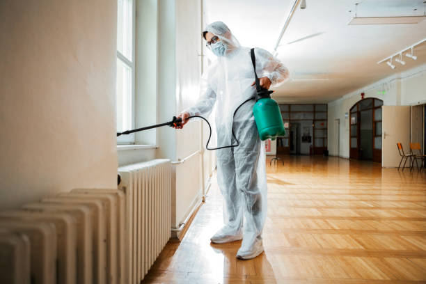 Best Ant Control Services  in Spinnerstown, PA